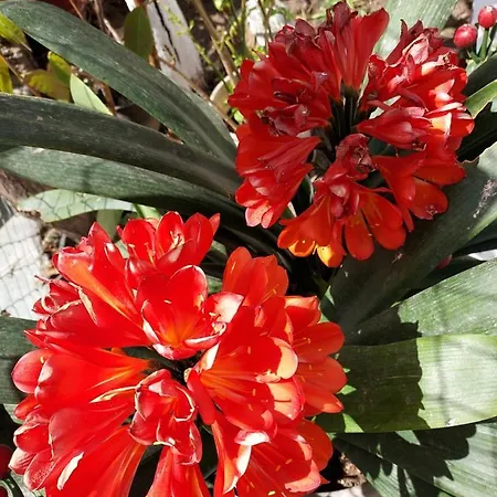 New Panorama Electric Car φορτισησ στατιον * Parálion Ástros