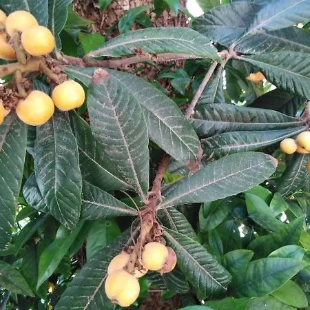 New Panorama Electric Car φορτισησ στατιον * Parálion Ástros