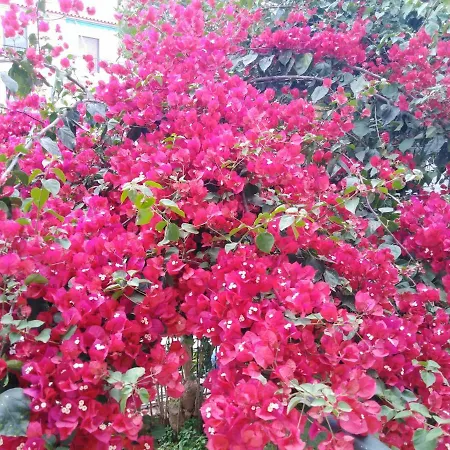 New Panorama Electric Car φορτισησ στατιον