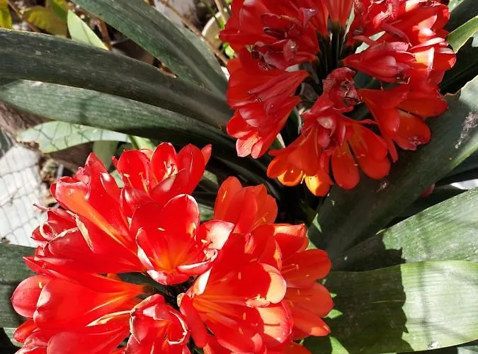 New Panorama Electric Car φορτισησ στατιον * Parálion Ástros