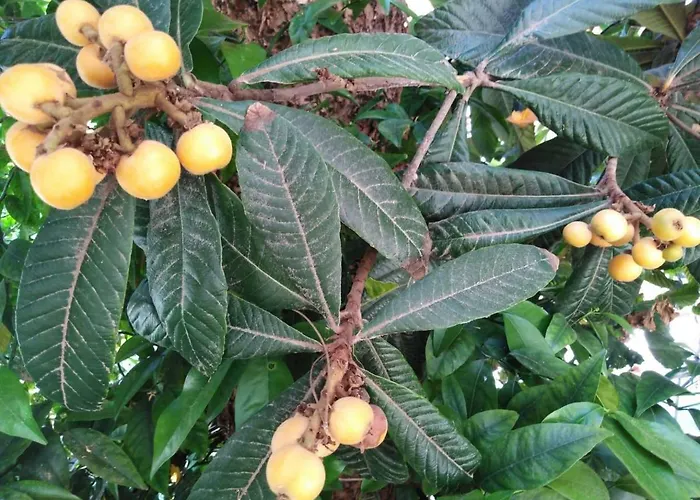 New Panorama Electric Car φορτισησ στατιον * Parálion Ástros