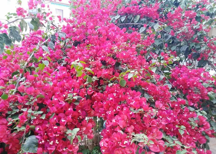 New Panorama Electric Car φορτισησ στατιον